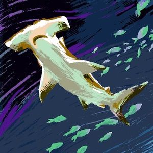 Meet your Posher, Maximillien